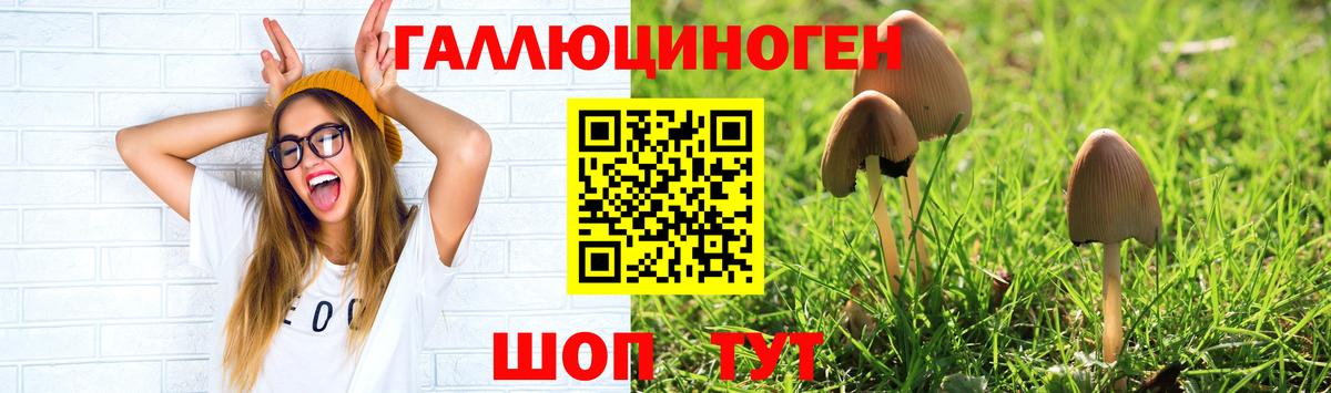 где продают   Вход с VPN  Северск  Псилоцибиновые грибы Magic Shrooms 