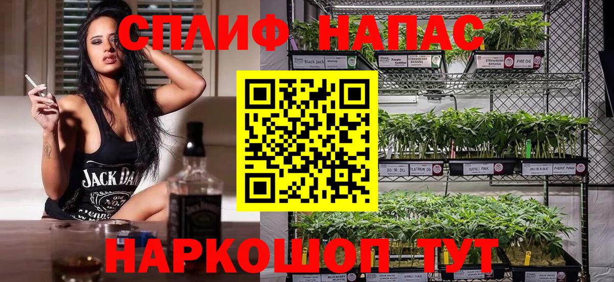 Бошки Шишки конопля Северск
